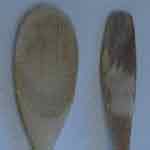 Lye-damaged spoon and
undamaged spoon